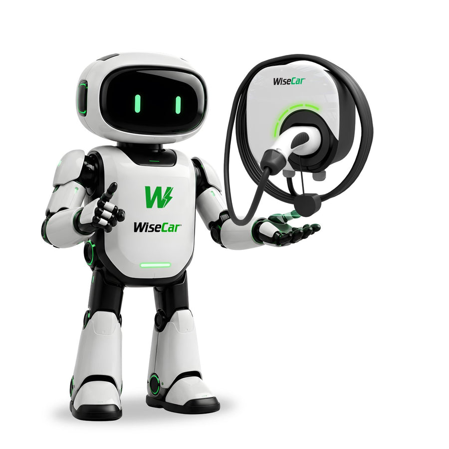 Meet WiseCar AI